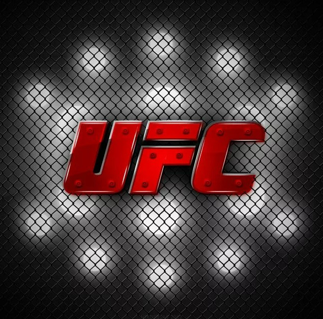 UFC 333